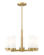 Load image into Gallery viewer, Z-LITE &quot;DANICA&quot; 5L CHANDELIER
