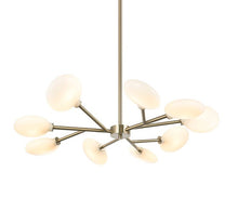 Load image into Gallery viewer, MATTEO CHANDELIER
