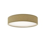 Load image into Gallery viewer, DAINOLITE 11&quot; CEILING FIXTURE
