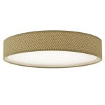 Load image into Gallery viewer, DAINOLITE 15&quot; CEILING FIXTURE
