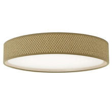 Load image into Gallery viewer, DAINOLITE 15&quot; CEILING FIXTURE
