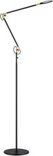 Load image into Gallery viewer, KENDAL &quot;DOVU&quot; LED FLOOR LAMP
