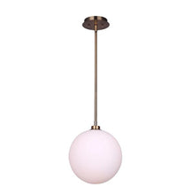 Load image into Gallery viewer, CANARM SINGLE PENDANT

