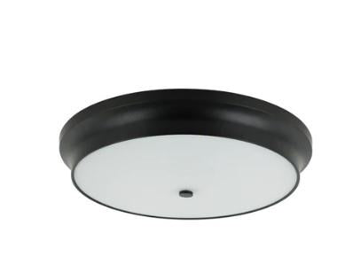 MAXILITE CEILING FIXTURE