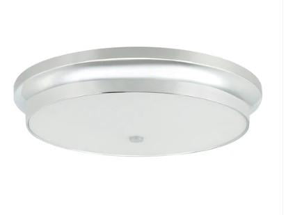 MAXILITE CEILING FIXTURE