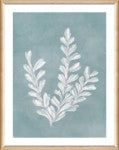 Load image into Gallery viewer, NORTHWOOD &quot;SEA LIFE III&quot; PRINT
