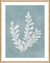 Load image into Gallery viewer, NORTHWOOD &quot;SEA LIFE III&quot; PRINT
