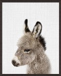 Load image into Gallery viewer, NORTHWOOD &quot;PEEKABOO BABY DONKEY&quot; PRINT
