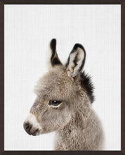 Load image into Gallery viewer, NORTHWOOD &quot;PEEKABOO BABY DONKEY&quot; PRINT

