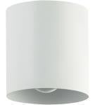 Load image into Gallery viewer, DAINOLITE CTC
