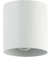 Load image into Gallery viewer, DAINOLITE CTC
