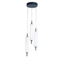 Load image into Gallery viewer, DAINOLITE MULTI-PENDANT
