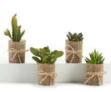 Load image into Gallery viewer, GIFTCRAFT MINI SUCCULENTS - 4 ASST.
